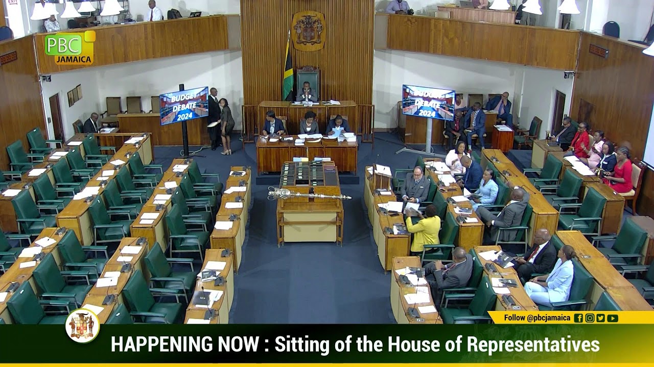 JISTV |Budget Debate 2024-2025 – Leader of the Opposition Mark Golding presentation