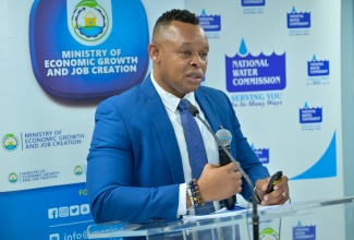 Acting President, National Water Commission, Kevin Kerr, addresses a semi-virtual press conference at the Ministry of Economic Growth and Job Creation in New Kingston on Monday (April 22).