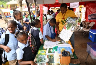 Forest Technician at the Forestry Department, Kerry Ann McLean, interacts with students at the St. Ann 4-H Clubs Parish Achievement Day & Expo 2024, held at Brown’s Town Primary School in the parish, on Wednesday, April 17.

