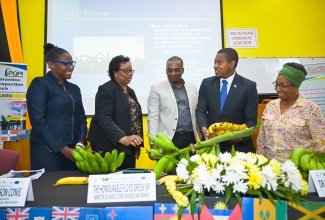 Minister of Agriculture, Fisheries and Mining, Hon. Floyd Green (second right), discusses characteristics of a local banana variety with (from left) Deputy Dean, Faculty of Science and Technology, University of the West Indies (UWI), Mona, Professor Tannecia Stephenson; General Manager of the Banana Board, Janet Ferguson-Conie; Chairperson of the Musa Technical Working Group, Caribbean Plant Health (CPHD) Directors Forum, Nelson Laville; and Phytopathologist, Plant Health Institute of Montpellier, Dr. Yolande Chilin Charles. Occasion was the opening of the Regional Musaceae Priority Disease – Banana Diagnostic Workshop on Monday (April 15) at the University of the West Indies, Mona Campus, St. Andrew.

