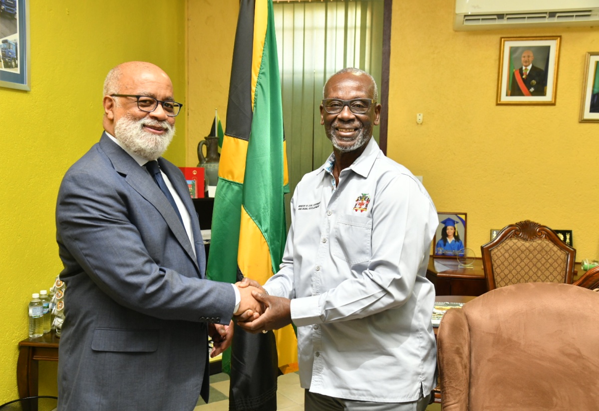 PHOTOS: IDB Country Rep Calls on Minister Mckenzie