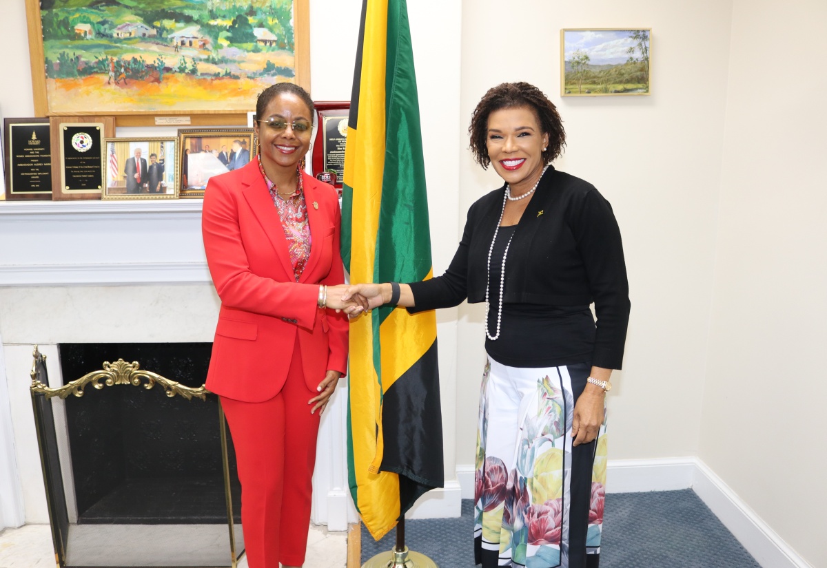 PHOTOS: Marlene Malahoo Forte Meets with Ambassador Marks