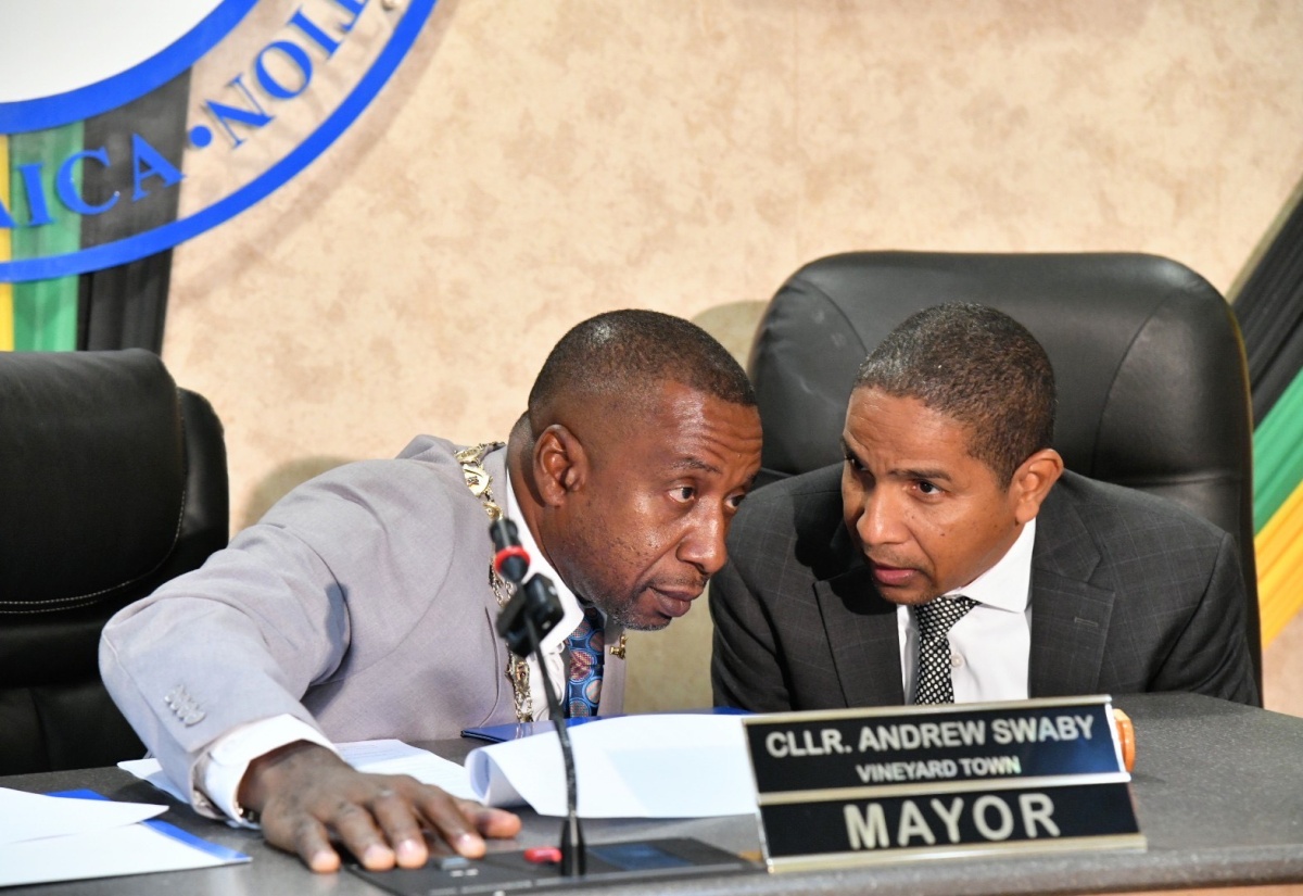 Kingston Mayor Pledges Bipartisan Approach to Decision-Making