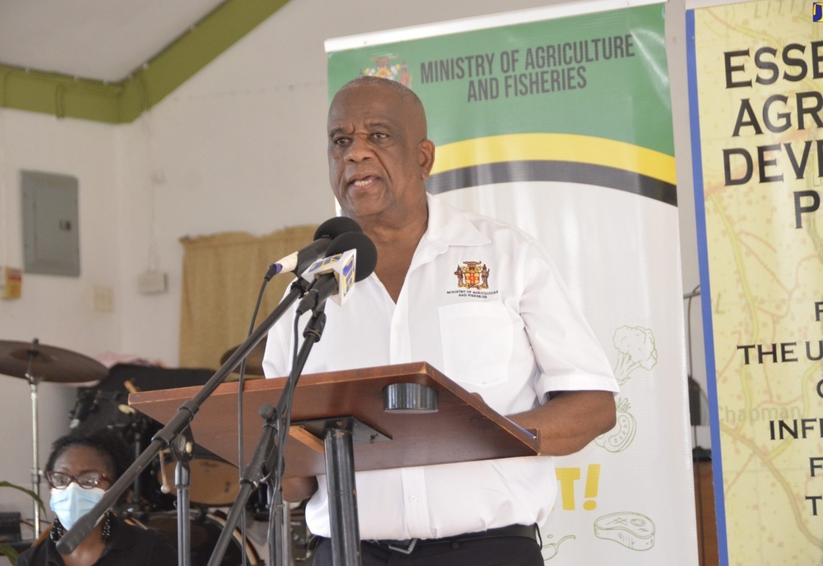 Essex Valley Project to Transform Agriculture, Rural Development – Witter