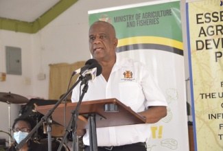 Minister of State in the Ministry of Agriculture, Fisheries and Mining, Hon. Franklin Witter.