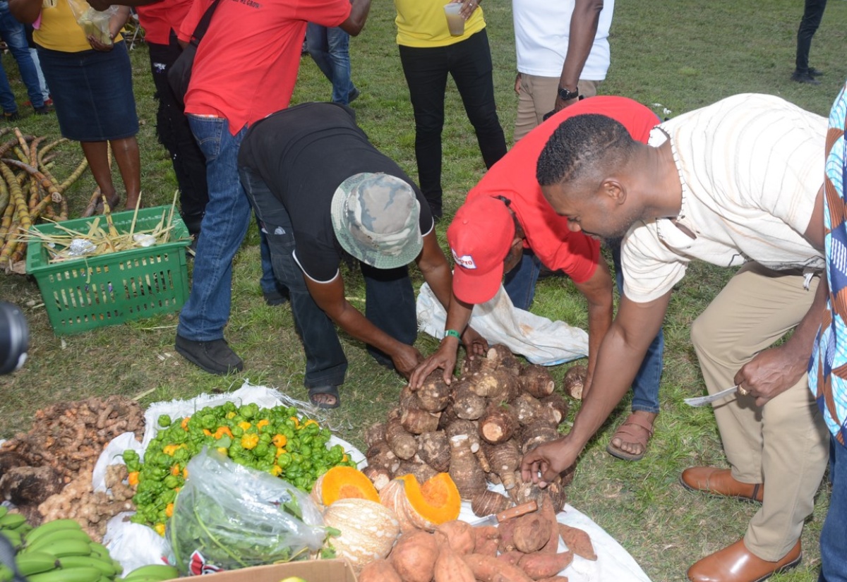 Minister Green Endorses Proposal for Staging of Agricultural Linkages Fair in St. James