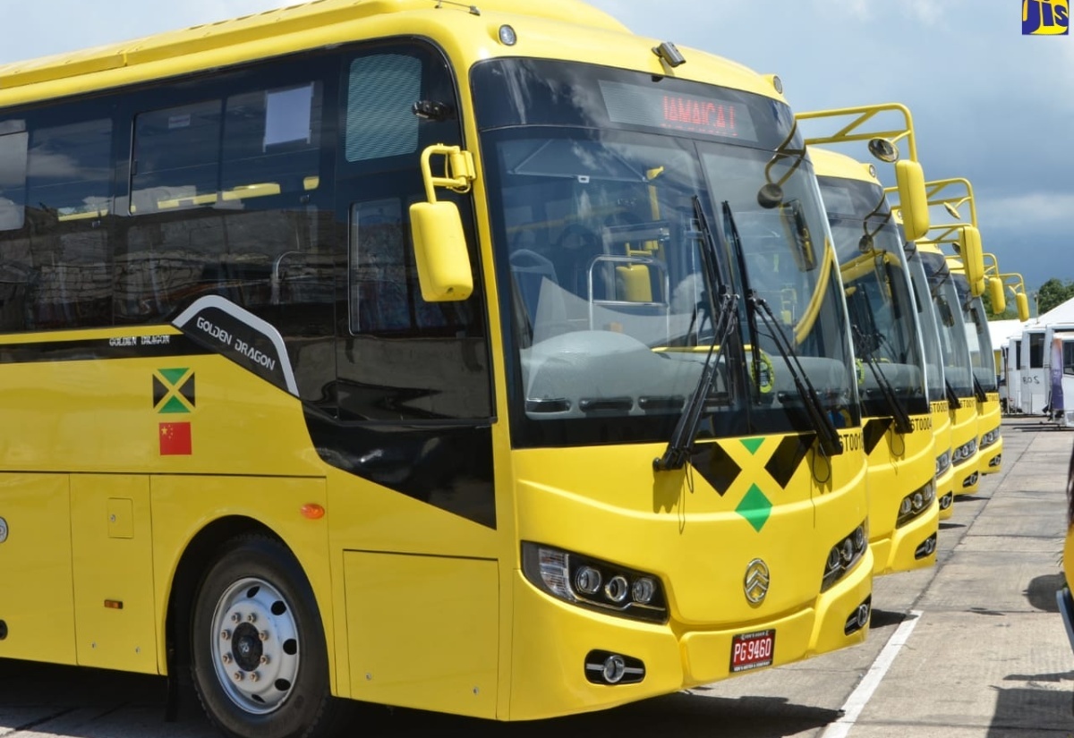 Some of the buses in the Jamaica Urban Transit Company (JUTC) fleet.
