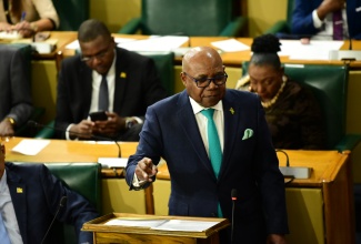 Minister of Tourism, Hon. Edmund Bartlett, speaks in the House of Representatives on April 30.

