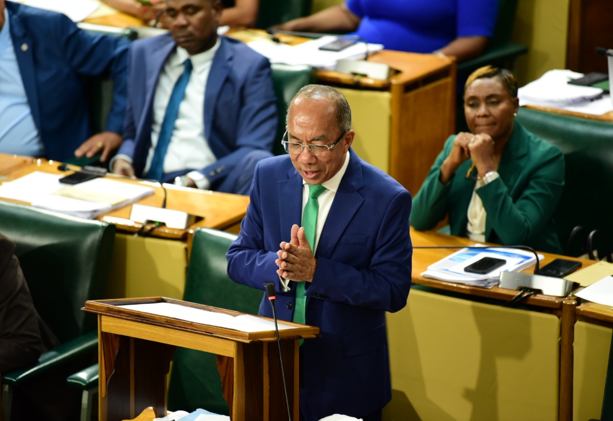 Minister of National Security, Hon. Dr. Horace Chang, makes his contribution to the 202425 Sectoral Debate in the House of Representatives on Tuesday (May 14).

