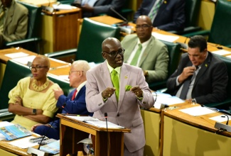 Minister of Local Government and Community Development, Hon. Desmond McKenzie, emphasises a point while making his contribution to the 2024/25 Sectoral Debate in the House of Representatives on May 28.