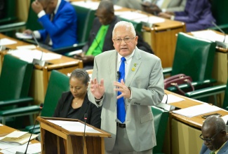 Minister of Justice, Hon. Delroy Chuck, makes his contribution to the 2024/2025 Sectoral Debate in the House of Representatives on Tuesday (May 21).