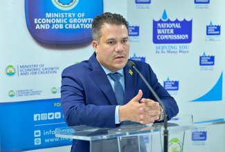 Minister without Portfolio in the Ministry of Economic Growth and Job Creation, Senator the Hon. Matthew Samuda.