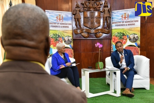 Minister of Agriculture, Fisheries and Mining, Hon. Floyd Green (right), addresses a post-Sectoral Media Briefing, held at Jamaica House on May 22. At left is media personality, Debbie Bissoon.