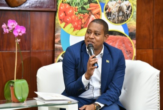 Minister of Agriculture, Fisheries and Mining, Hon. Floyd Green, speaks to Reporters at a post-Sectoral Media Briefing,  held at Jamaica House on May 22.

