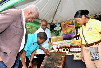 Minister of Agriculture, Fisheries and Mining, Hon. Floyd Green (second left), along with State Minister, Hon. Fraklin Witter (left), view a display being shown to them by Chief Plant Protection Officer, Bodles Research Station, Hugh Smith, during a World Bee Day observance event on Thursday (May 30). The event was held at the Bodles Station in St. Catherine. At right is Principal Research Director, Bodles Research Station, Carla Douglas.