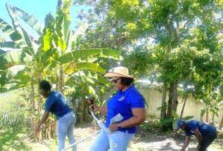 Team members of the Hanover Parish Court join forces with members of the Jamaica Constabulary Force (JCF) in cleaning the courtyard on Labour Day, Thursday, May 23.