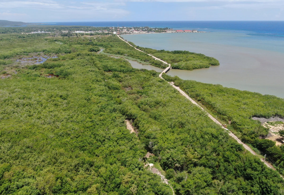 NEPA Engaging Rock Community on Wetlands Tour to Mark International Day for Biodiversity