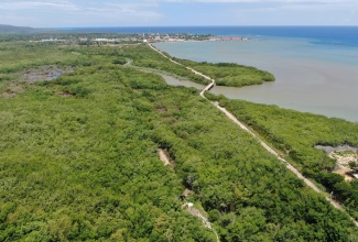 An aerial view of the Winns Morass in Falmouth, Trelawny.