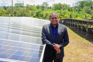 Minister of Agriculture, Fisheries and Mining, Hon. Floyd Green, at one of the new Caribbean Broilers (CB) Group solar plants, at the Peninsula Hatchery Farms in Linstead, St. Catherine, recently.

