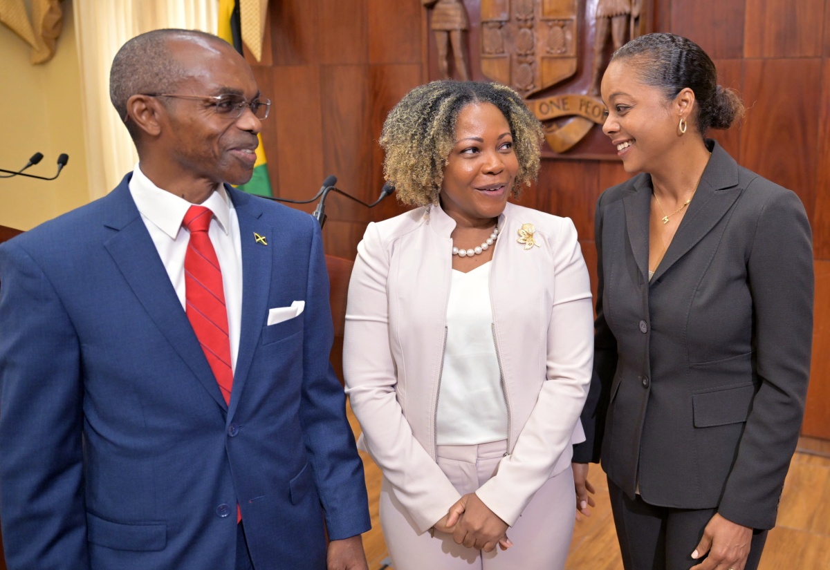 Cabinet Approves Drafting Instructions for Transitional Bill