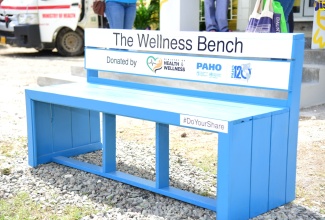 A wellness bench was unveiled at an opening ceremony in June 2023.