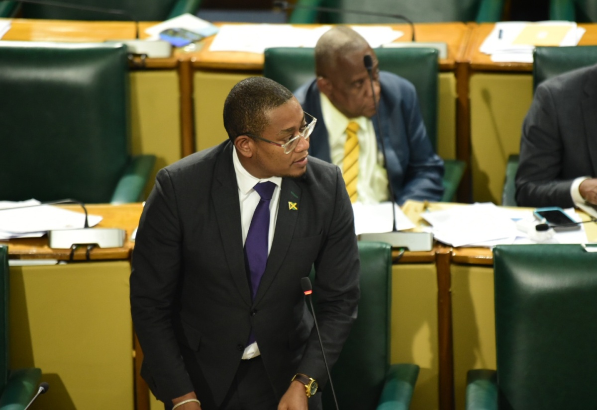 Minister of Agriculture, Fisheries and Mining, Hon. Floyd Green, addresses the House of Representatives on Tuesday (June 11).