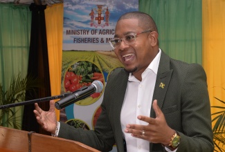 Minister of Agriculture, Fisheries and Mining, Hon. Floyd Green, addresses the launch of the Rehabilitation of Research Centres Project phase 2 on June 13 at the Bodles Research Centre in St. Catherine.