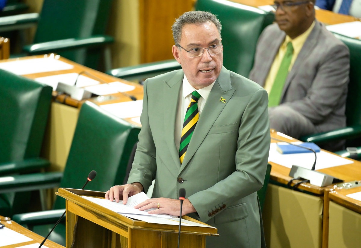 Minister of Science, Energy, Telecommunications and Transport, Hon. Daryl Vaz, makes his contribution to the 2024/25 Sectoral Debate in the House of Representatives on Tuesday (June 4).
