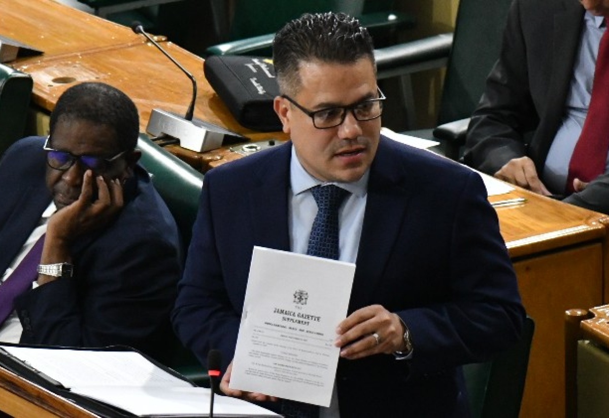 Minister without Portfolio in the Ministry of Economic Growth and Job Creation, Senator the Hon. Matthew Samuda.