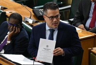 Minister without Portfolio in the Ministry of Economic Growth and Job Creation, Senator the Hon. Matthew Samuda.