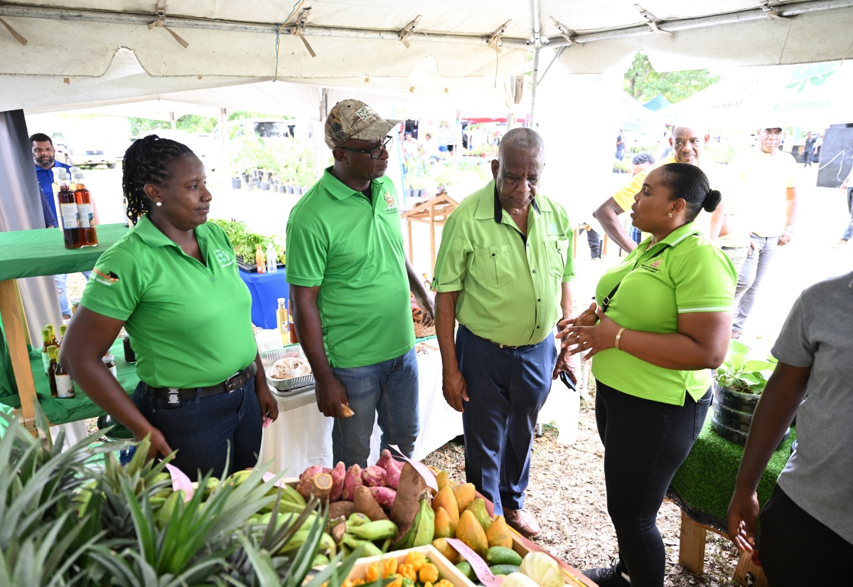State Minister in the Ministry of Agriculture, Fisheries and Mining, Hon. Franklin Witter (second from right), listens to Acting Regional Manager for Jamaica 4-H Clubs Western Region, Natanish Hinds (right), during a tour of booths at the Westmoreland Agricultural Show held at Bay Road Sports Complex in Little London on Sunday, June 2. Looking on are Regional Home Economics Specialist for Jamaica 4-H Clubs Western Region, Claudia Elvey (left), and Chief Technical Director in the Ministry of Agriculture, Fisheries and Mining, Orville Palmer.

