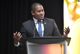 Minister of Agriculture, Fisheries and Mining, Hon. Floyd Green, speaks at the opening of the 11th Tephritid Workers of the Western Hemisphere (TWWH) Meeting,  at the Hideaway at Royalton Blue Waters Resort in Trelawny, on June 3. 
