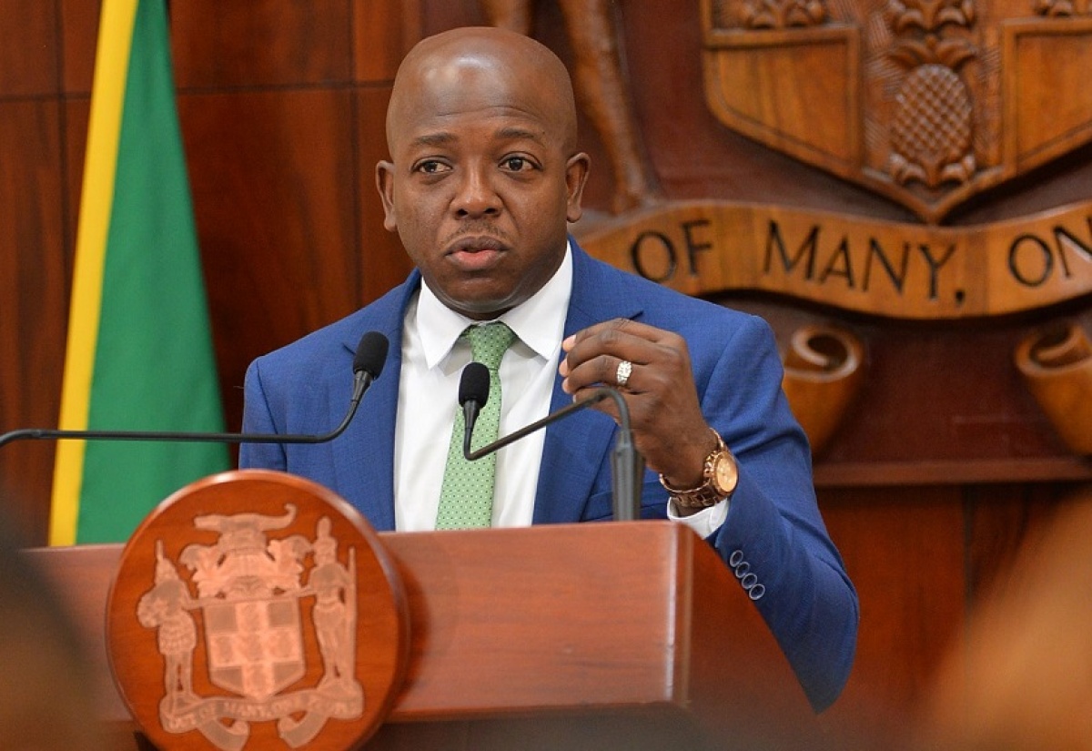 Minister of Labour and Social Security, Hon. Pearnel Charles Jr.