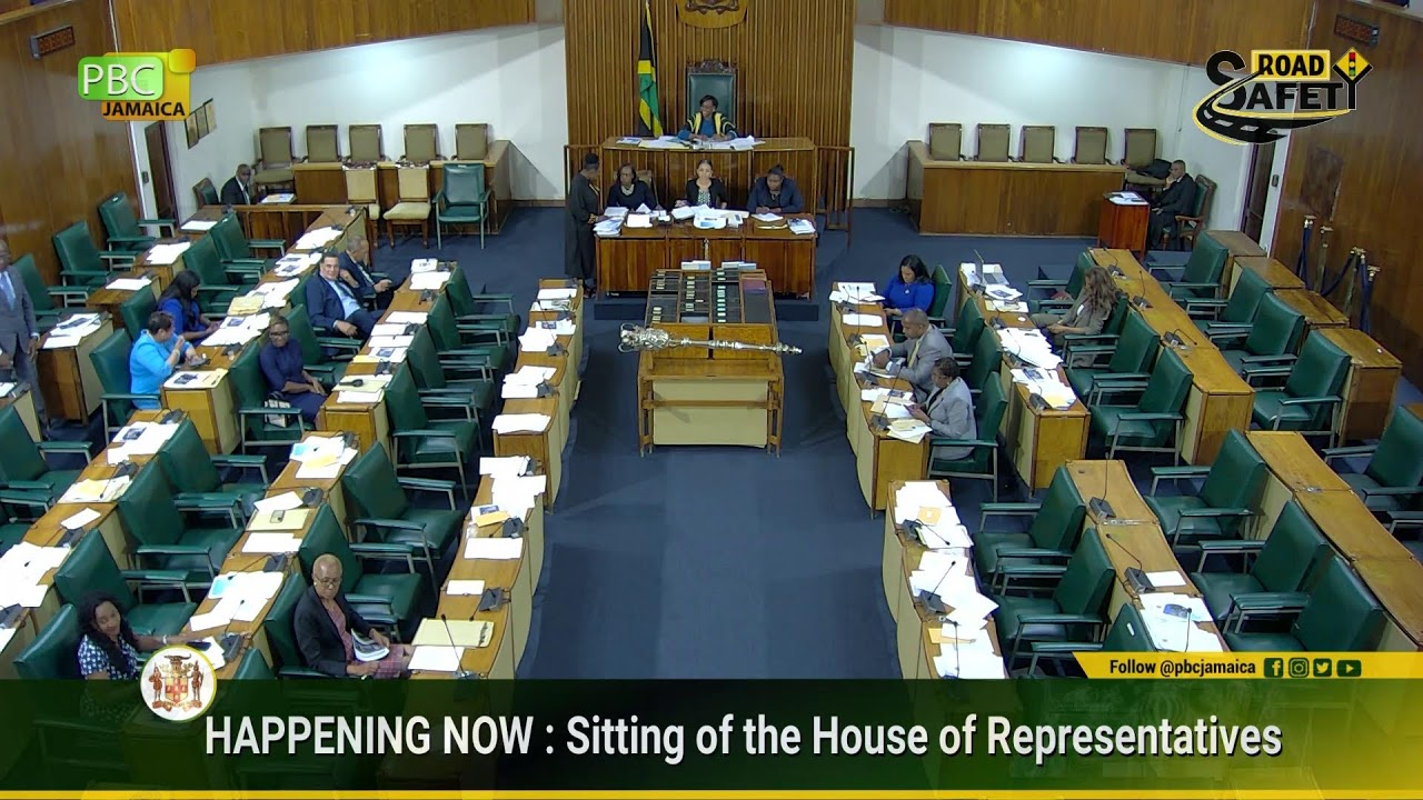 JISTV |Sitting of the House of Representatives – Sectoral Debate – June 11, 2024