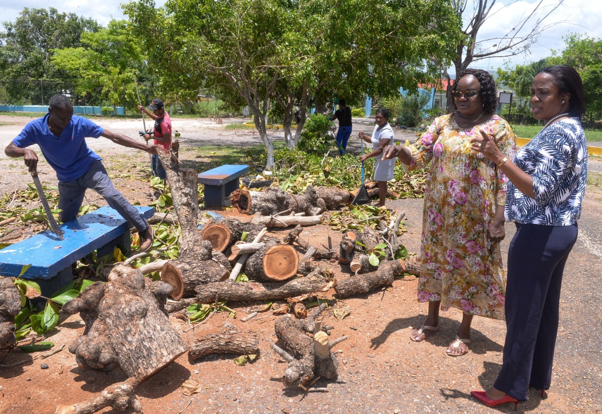 Community Members Assist in Cleanup Activities at Toll Gate Primary School