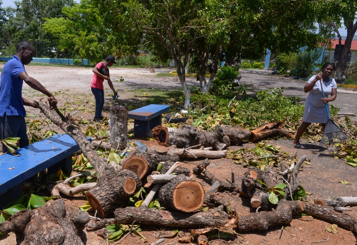Community Members Assist in Cleanup Activities at Toll Gate Primary School