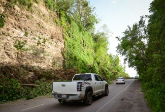 Downed and uprooted trees along roadways in Williamsfield, Manchester