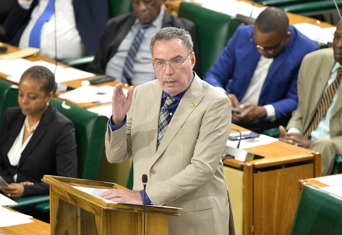 Minister of Science, Energy, Telecommunications and Transport, Hon. Daryl Vaz, makes a statement to the House of Representatives on Tuesday (July 23).