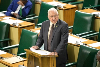 Minister of Justice, Hon. Delroy Chuck, speaks in the House of Representatives, recently.