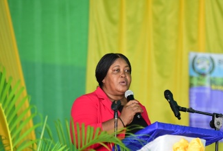 Inspector of Police, Florence Clarke, who is attached to the Centre for the Investigation of Sexual Offences and Child Abuse (CISOCA), addresses the recent St. Andrew South District Consultative Committee Conference at the Pembroke Hall High School.

