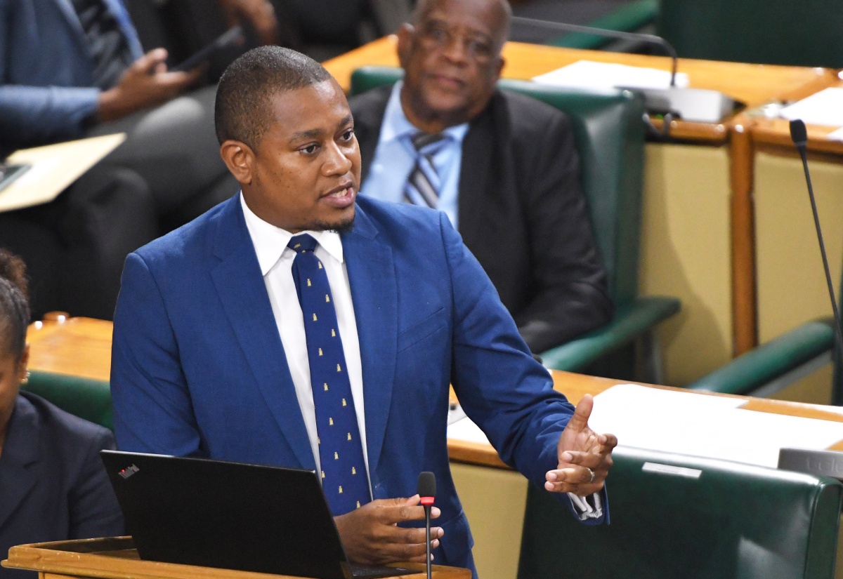 Minister of Agriculture, Fisheries and Mining, Hon. Floyd Green, makes a statement in the House of Representatives on Tuesday (July 16).