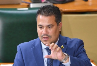 Minister without Portfolio in the Ministry of Economic Growth and Job Creation, Senator the Hon. Matthew Samuda, addressing the recent sitting of the Senate.