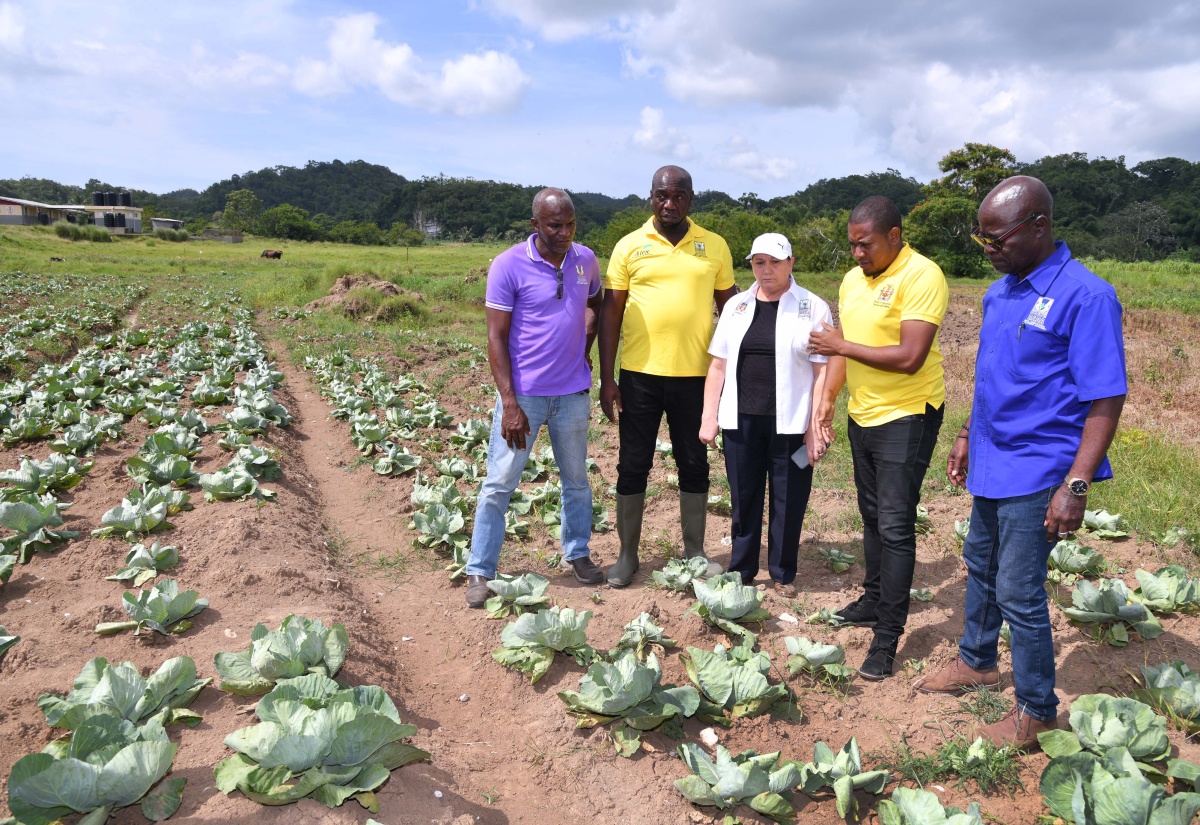 PHOTOS: Agriculture State Minister Tours Farms in Clarendon