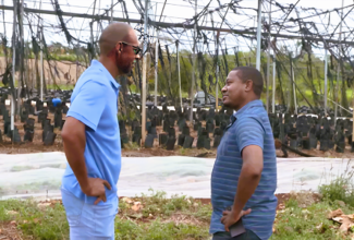 Minister of Agriculture, Fisheries and Mining, Hon. Floyd Green (right), speaks to St. Elizabeth greenhouse farmer, Vaughn Ebanks about the damage to his farm in the aftermath of Hurricane Beryl. Occasion was an assessment tour of farms in the parish on Saturday (July 6).
