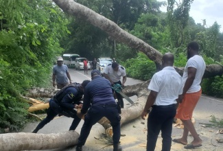 A section of the John’s Hall main road in St James being cleared by policemen and residents, following the passage of Hurricane Beryl.

