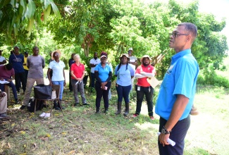 Director, Agribusiness Market Distribution and Logistics, Ministry of Agriculture, Fisheries and Mining, Krishna Badaloo (right), addresses a fruit tree resuscitation training session in Yallahs, St. Thomas, on Wednesday (August 28).