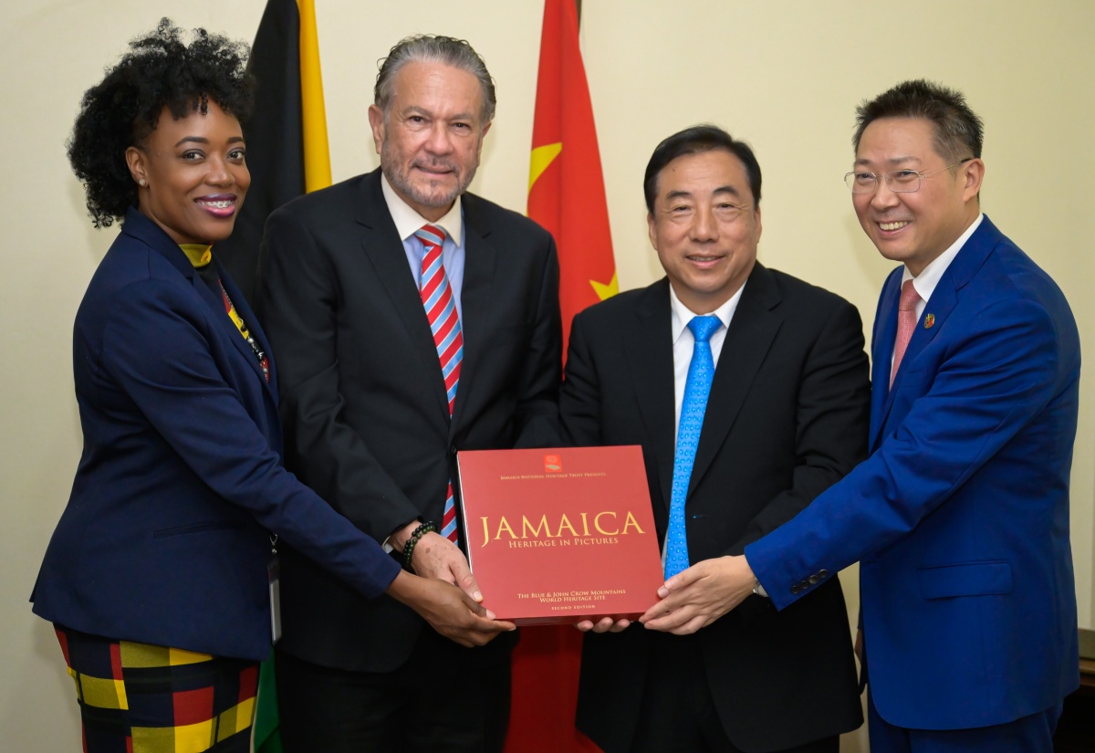 PHOTOS: Chinese Delegation Called on Senate President