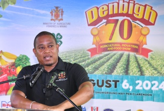 Minister of Agriculture, Fisheries and Mining, Hon. Floyd Green, brings remarks at the Denbigh Agricultural, Industrial and Food Show in May Pen, Clarendon, on August 6.

