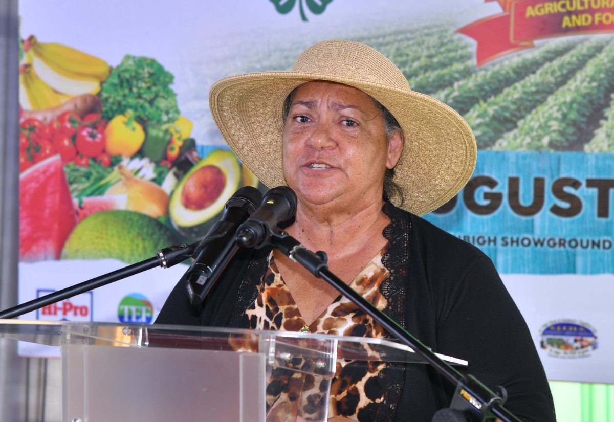 Best in Agriculture on Display at Denbigh