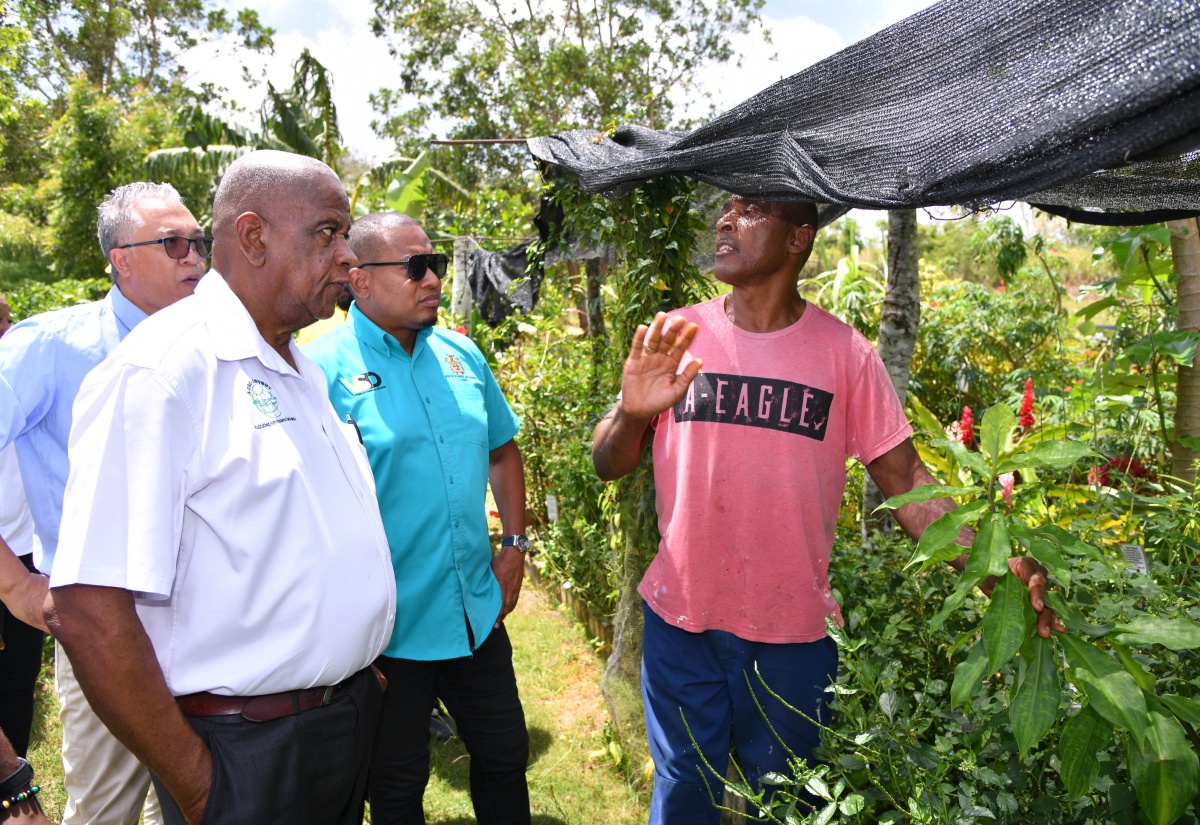 Gov’t Prioritising Regularisation of Farmland Holdings